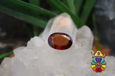 گارنت هسونیت