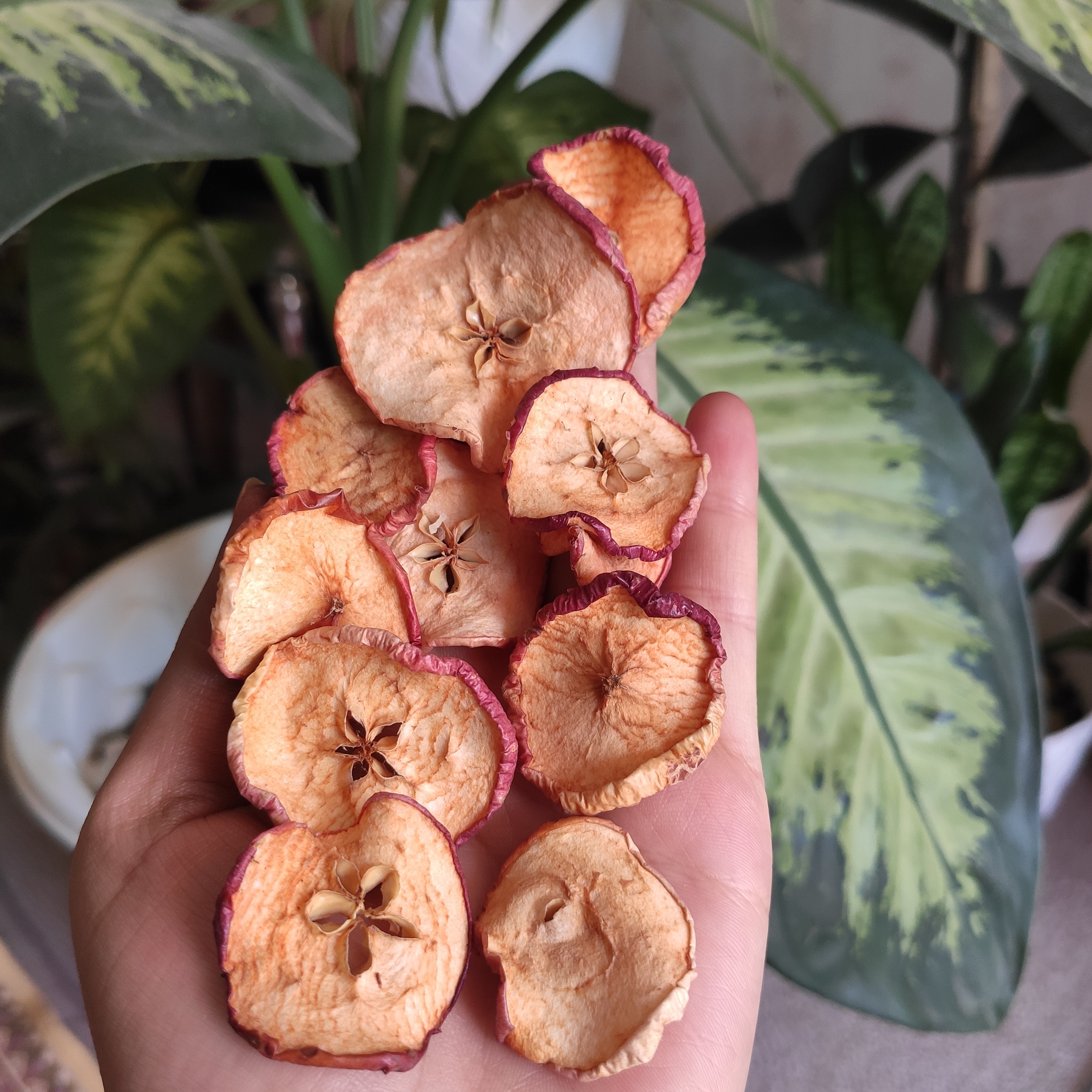 سیب خشک ارگانیک 150 گرمی