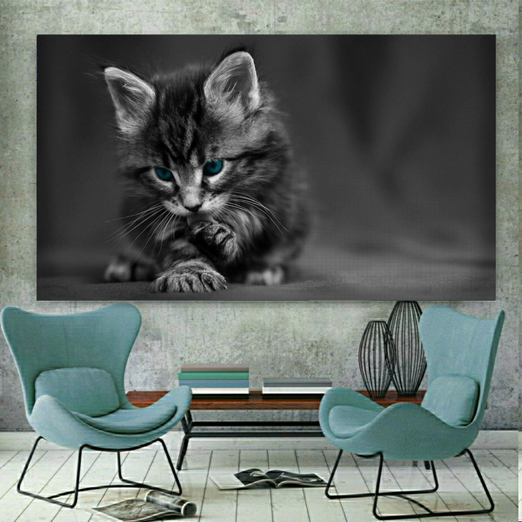 تابلو شاسی طرح گربه مدل SDT857