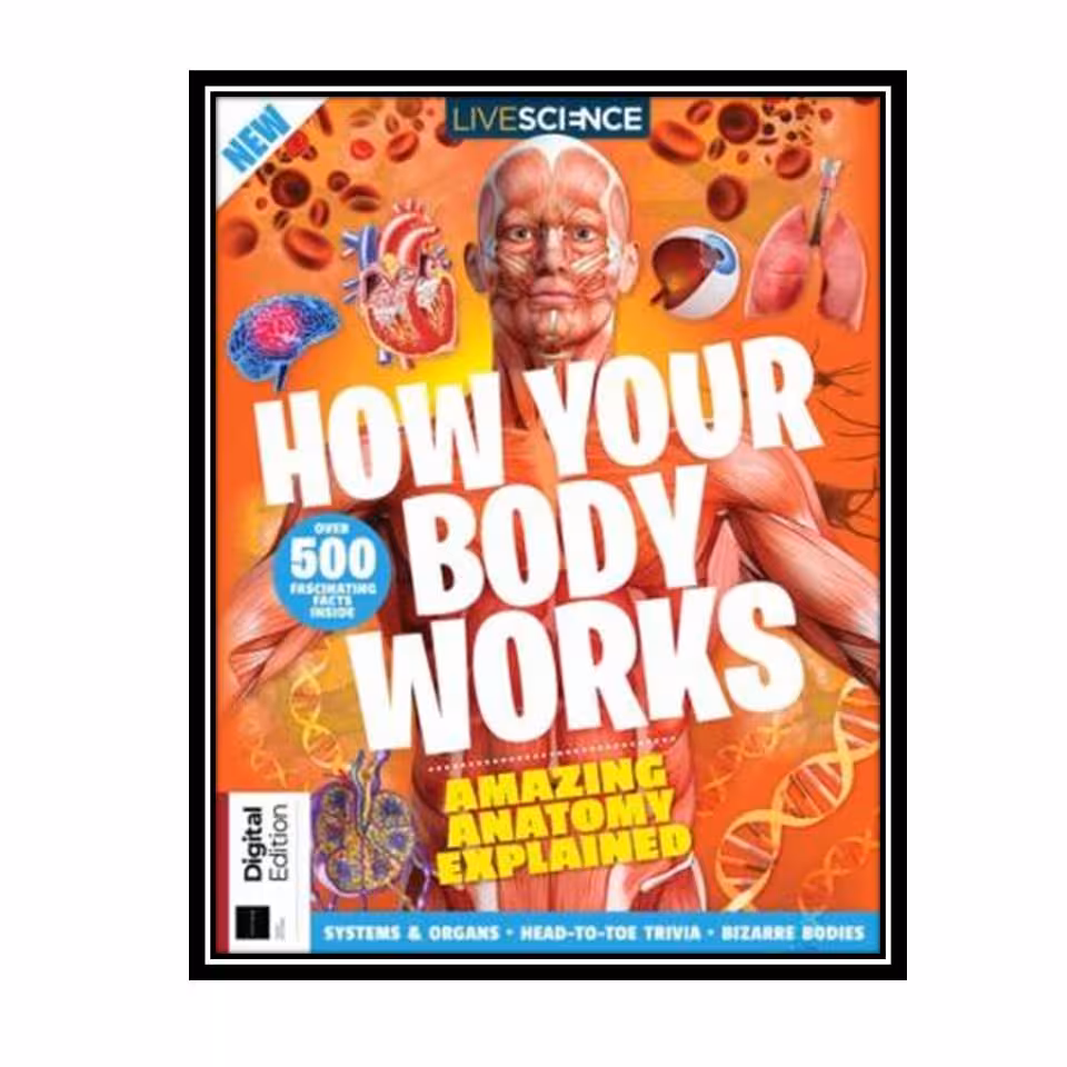 کتاب How Your Body Works: Amazing Anatomy Explained اثر Live Science انتشارات مولفین طلایی
