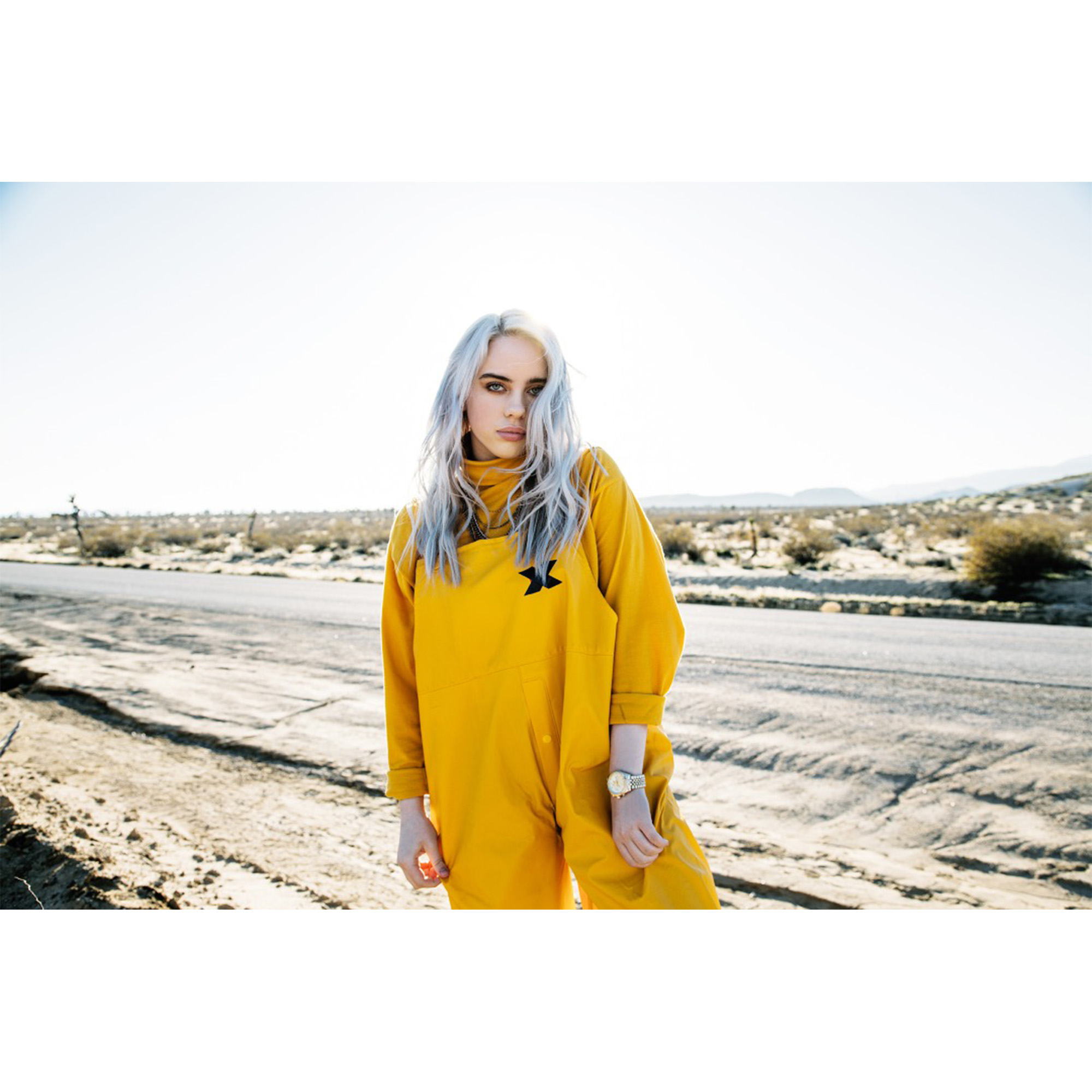 تابلو شاسی مدل بیلی ایلیش کد430