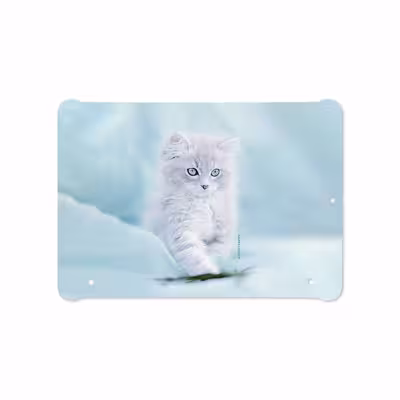 برچسب پوششی ماهوت مدل Cat-1 مناسب برای تبلت سامسونگ Galaxy Tab S2 9.7 2015 T810