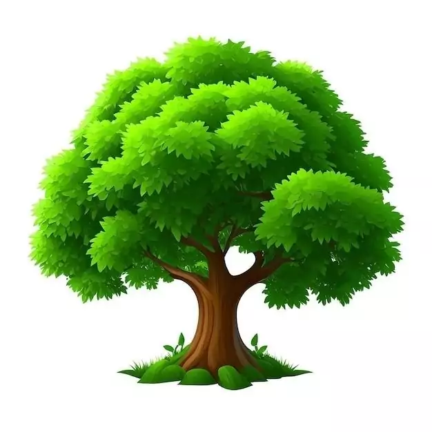 استند تولد درخت و نخل با پایه مقاوم