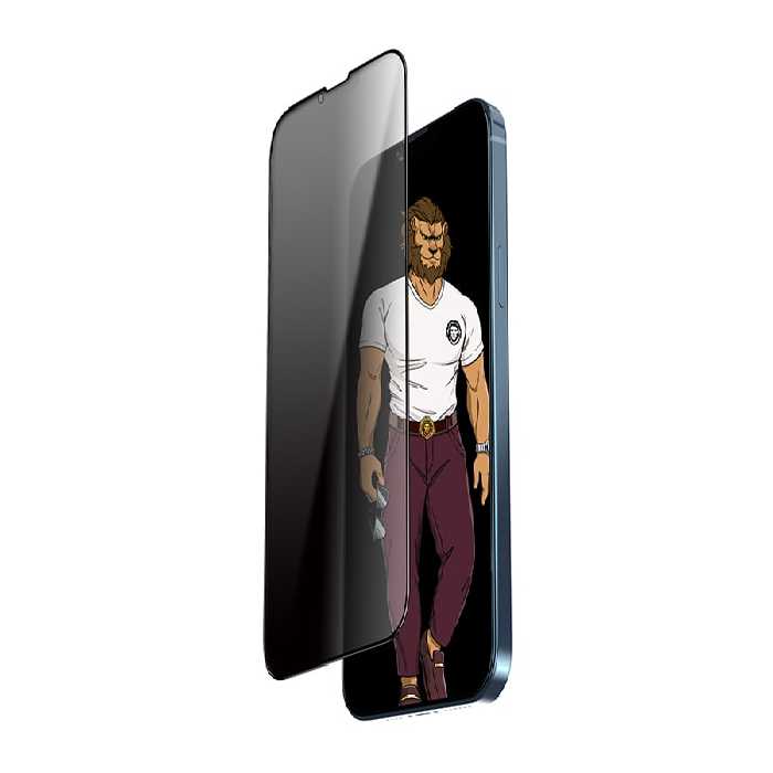 محافظ صفحه نمایش شیشه ای حریم شخصی مات آیفون 13 پرو مکس گرین Green iPhone 13 Pro Max 3D Matte Privacy Glass