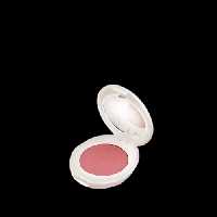 رژگونه چارمینگ b02 شون