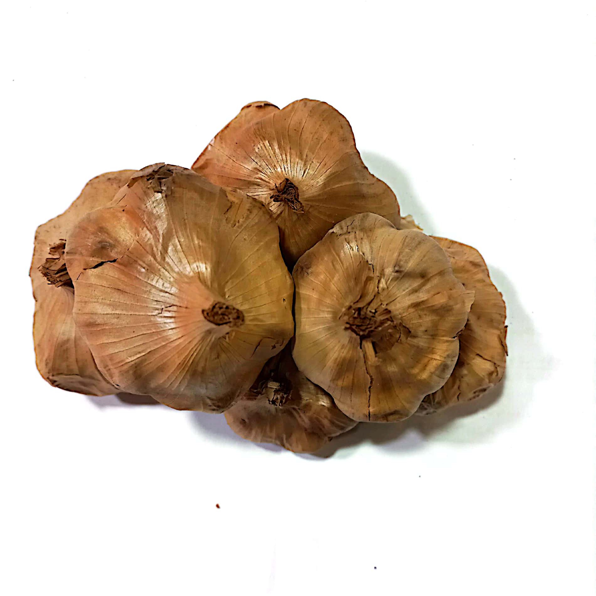 سیرسیاه 200 گرمی  سیر سیاه همدان