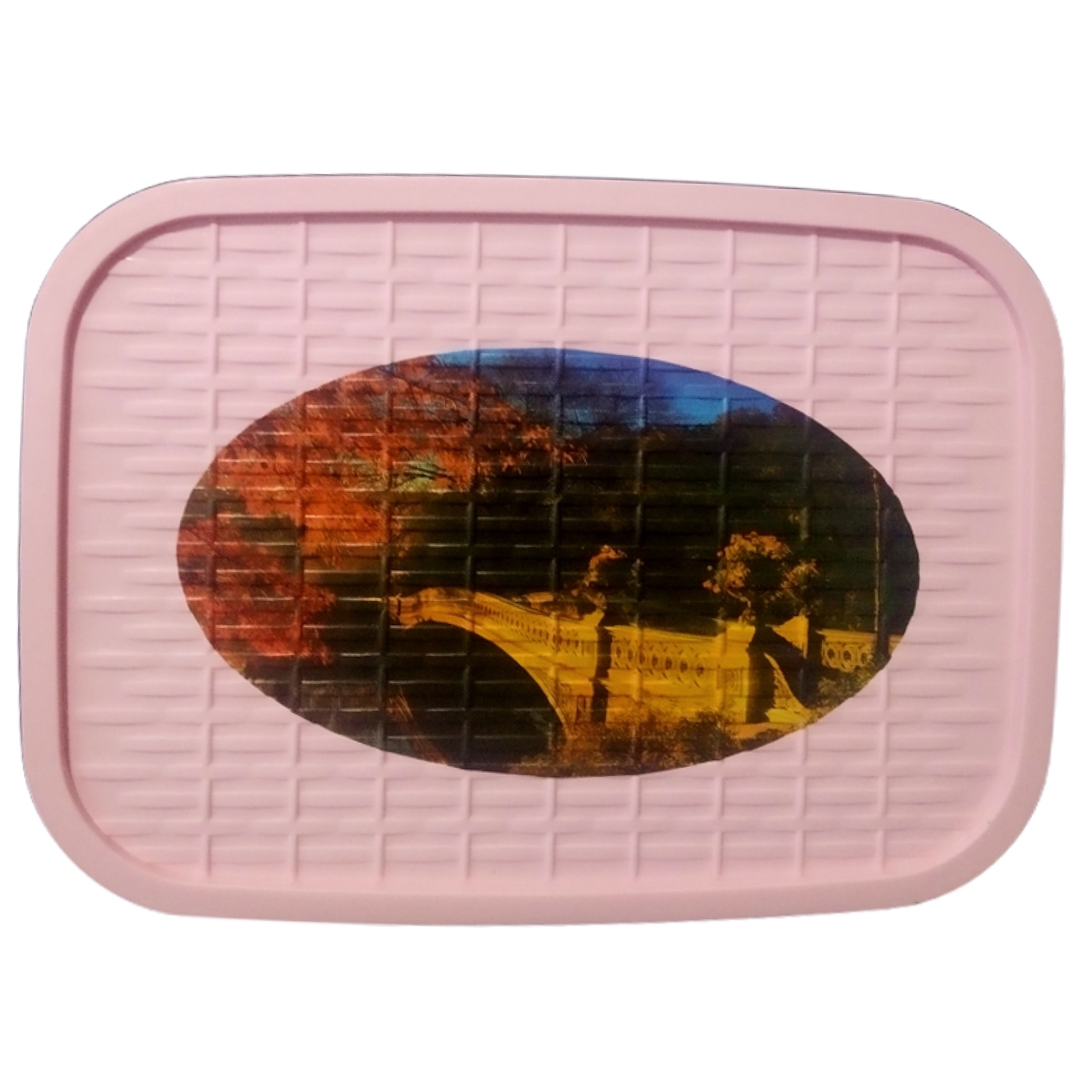 ظرف نگهدارنده مدل طبیعت