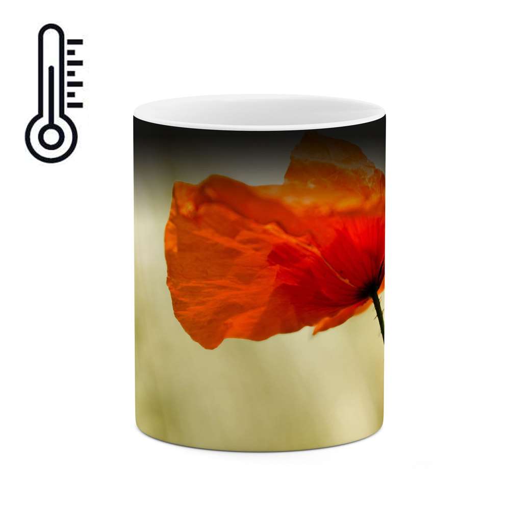 ماگ حرارتی مدل mgph14808