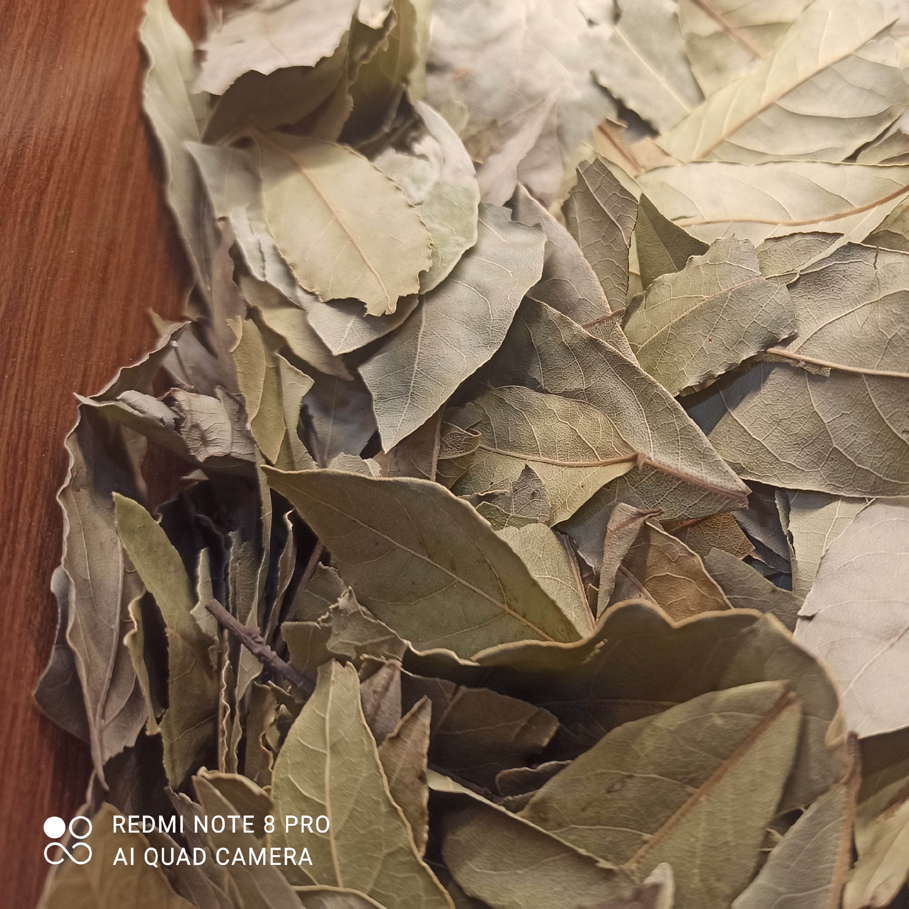 برگ بو 50گرم