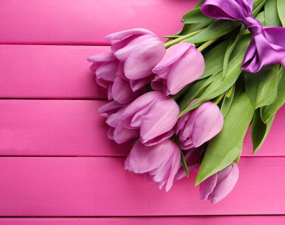 خرید و دانلود عکس Flower-Part-3 کد 17850 | پیک فاکس | Pic Fox