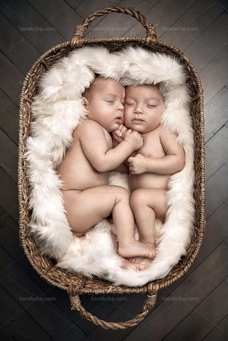 عکس نوزاد دوقلو | گرافیک با طعم تربچه