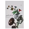 کتاب ترانه‌ های قدیمی اثر محمد‌رحمانیان
