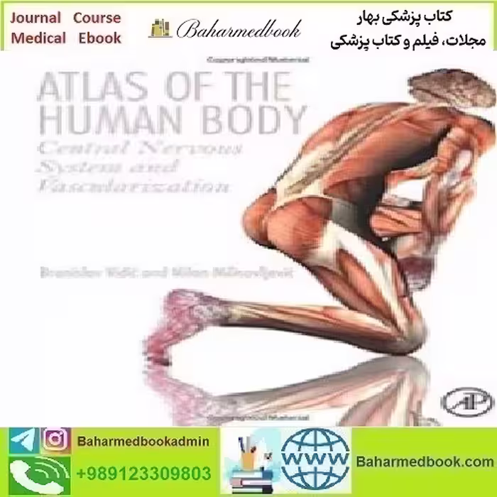 Atlas of the Human Body Central Nervous System and Vascular