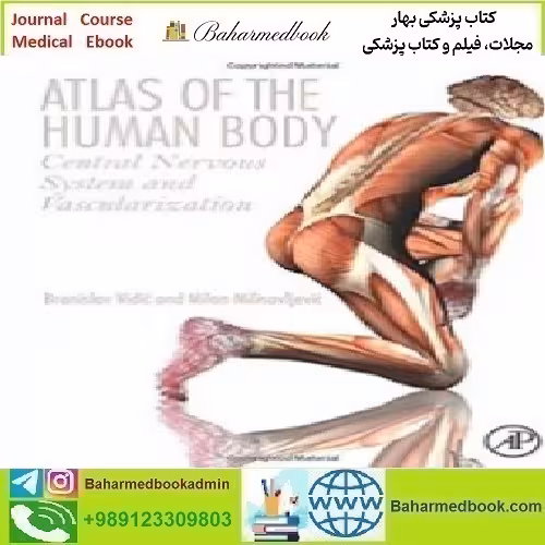 Atlas of the Human Body Central Nervous System and Vascular
