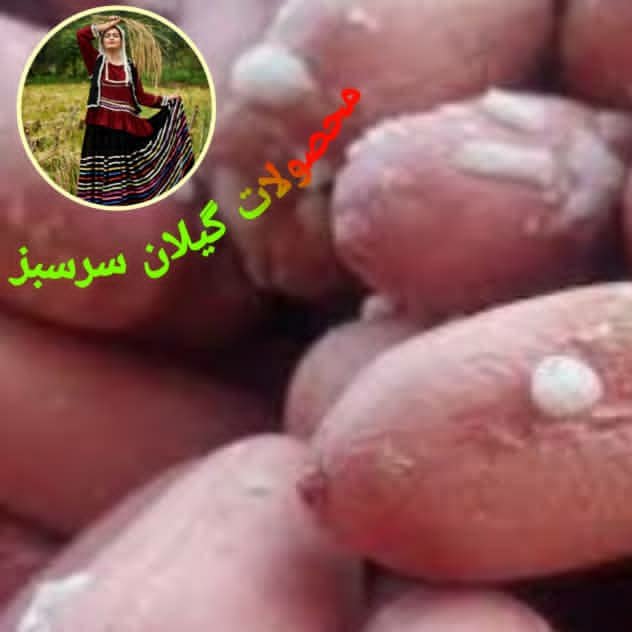 بادام استانه