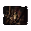 برچسب پوششی ماهوت مدل Owl مناسب برای تبلت اپل iPad 2 2011 A1396