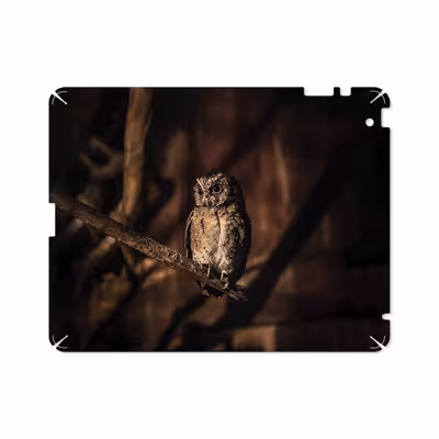 برچسب پوششی ماهوت مدل Owl مناسب برای تبلت اپل iPad 2 2011 A1396
