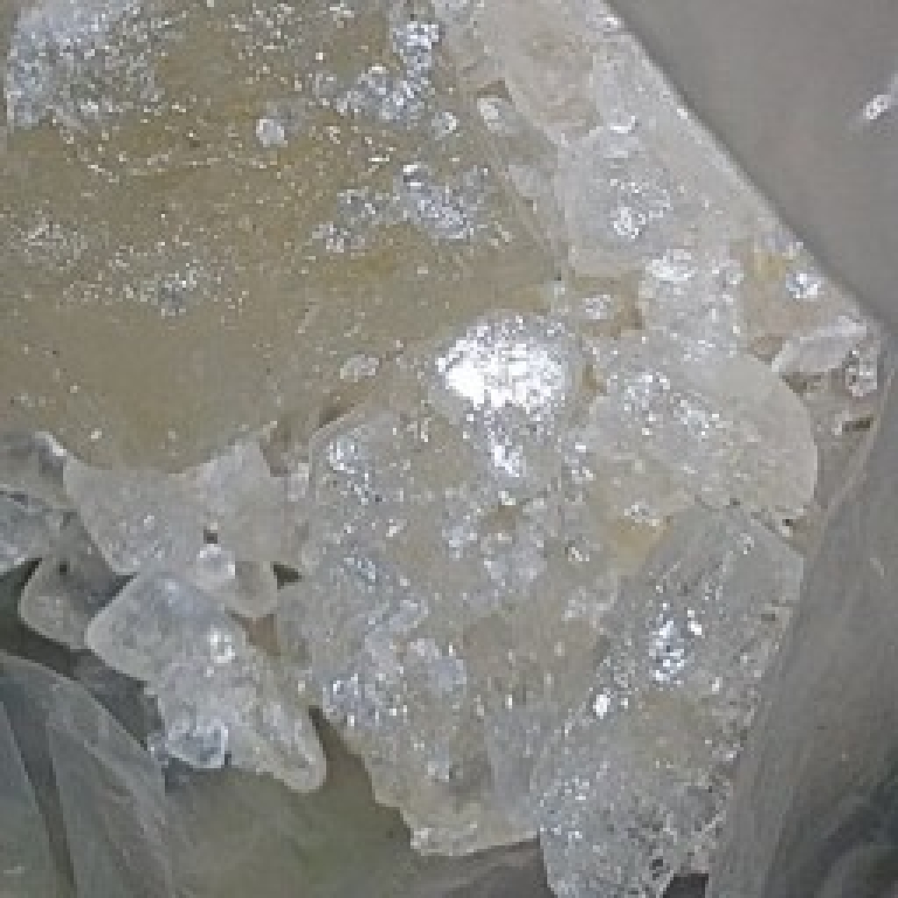 جوهر زنیان 7 گرمی