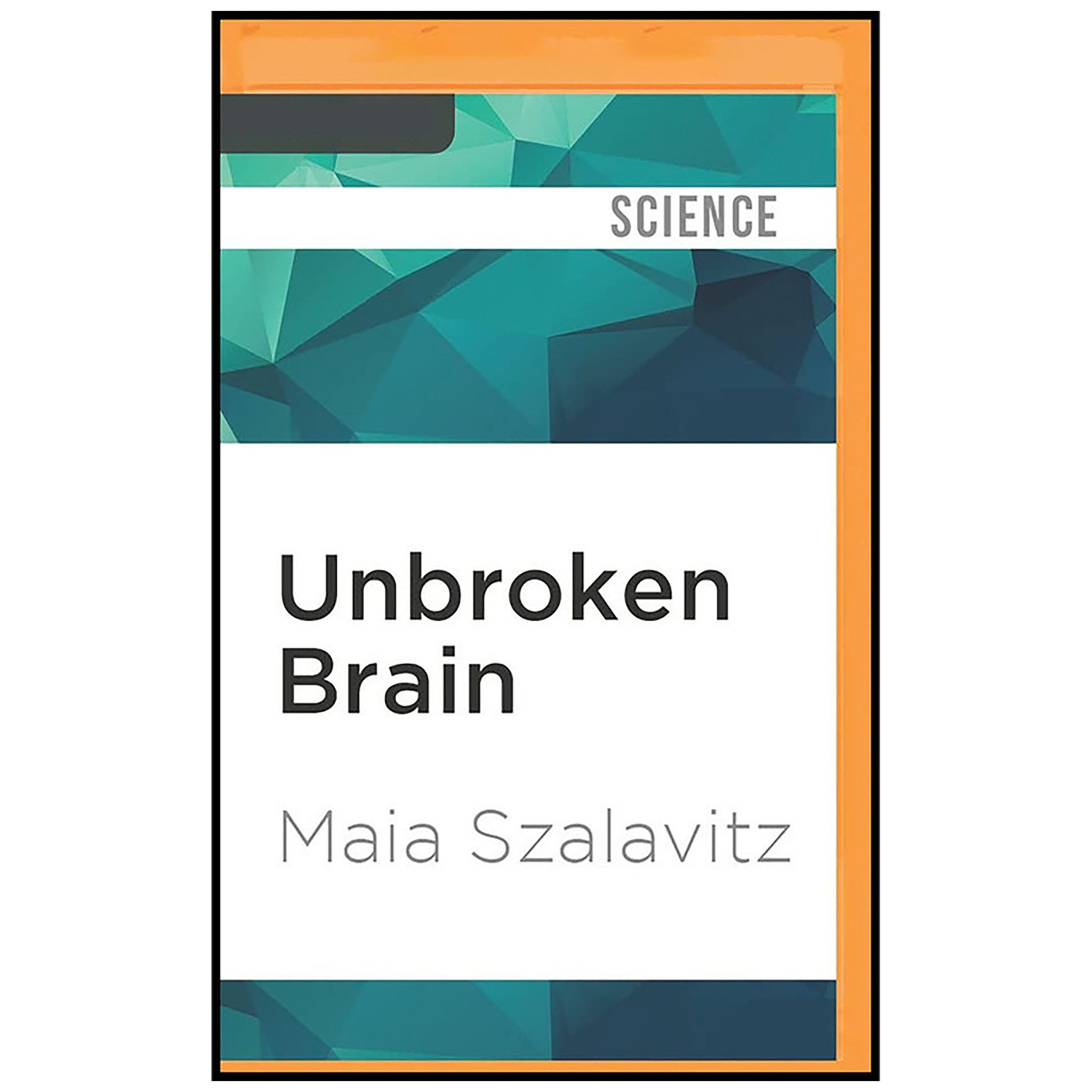 کتاب Unbroken Brain اثر Maia Szalavitz and Marisa Vitali انتشارات Audible Studios on Brilliance