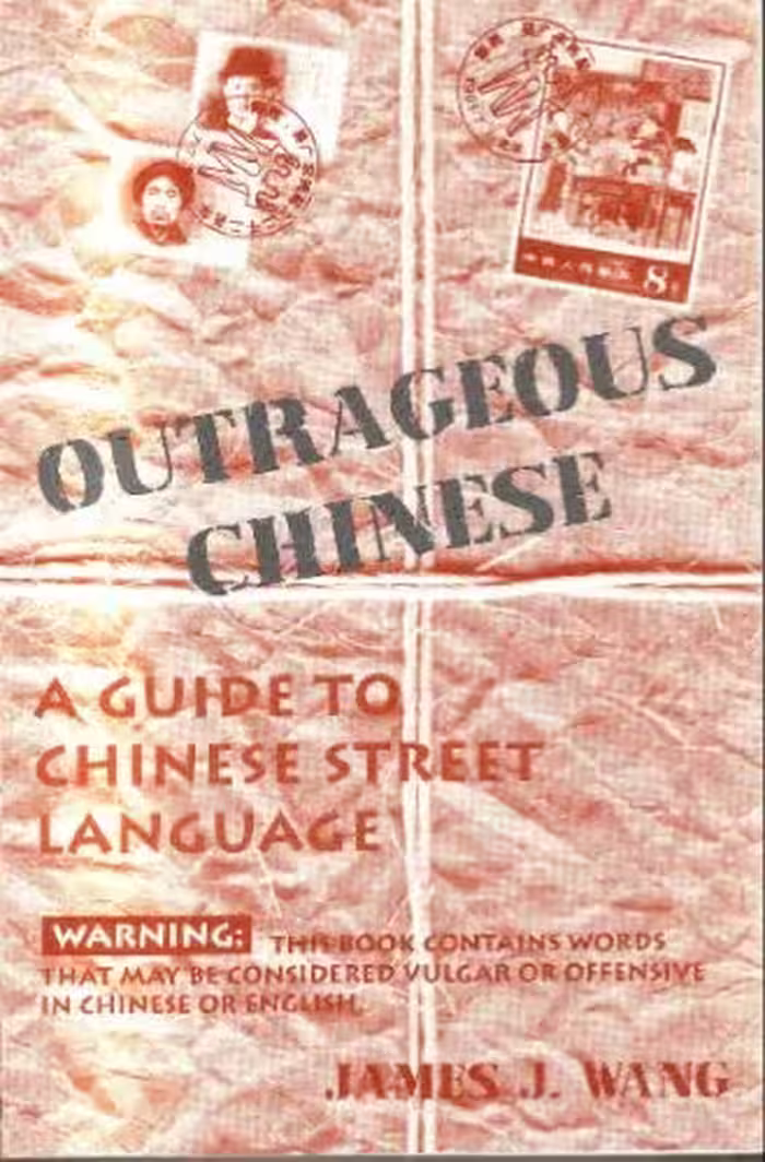 خرید و دانلود نسخه کامل کتاب Outrageous Chinese: A Guide to Chinese Street Language