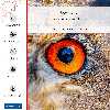 برچسب پوششی ماهوت مدل Owl eyes-FullSkin مناسب برای گوشی موبایل سامسونگ Galaxy A01