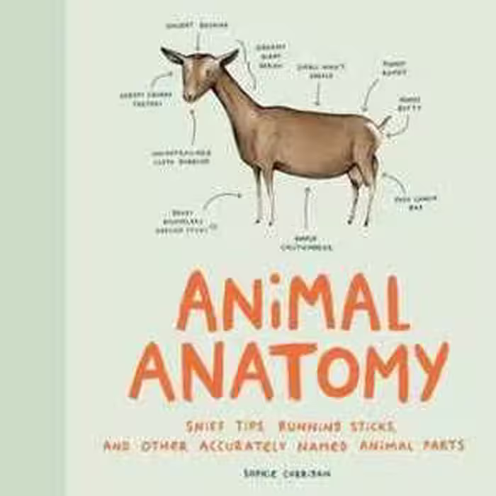 [PDF] دانلود کتاب Animal Anatomy - Sniff Tips, Running Sticks, And Other Accurately Named Animal Parts, 2019