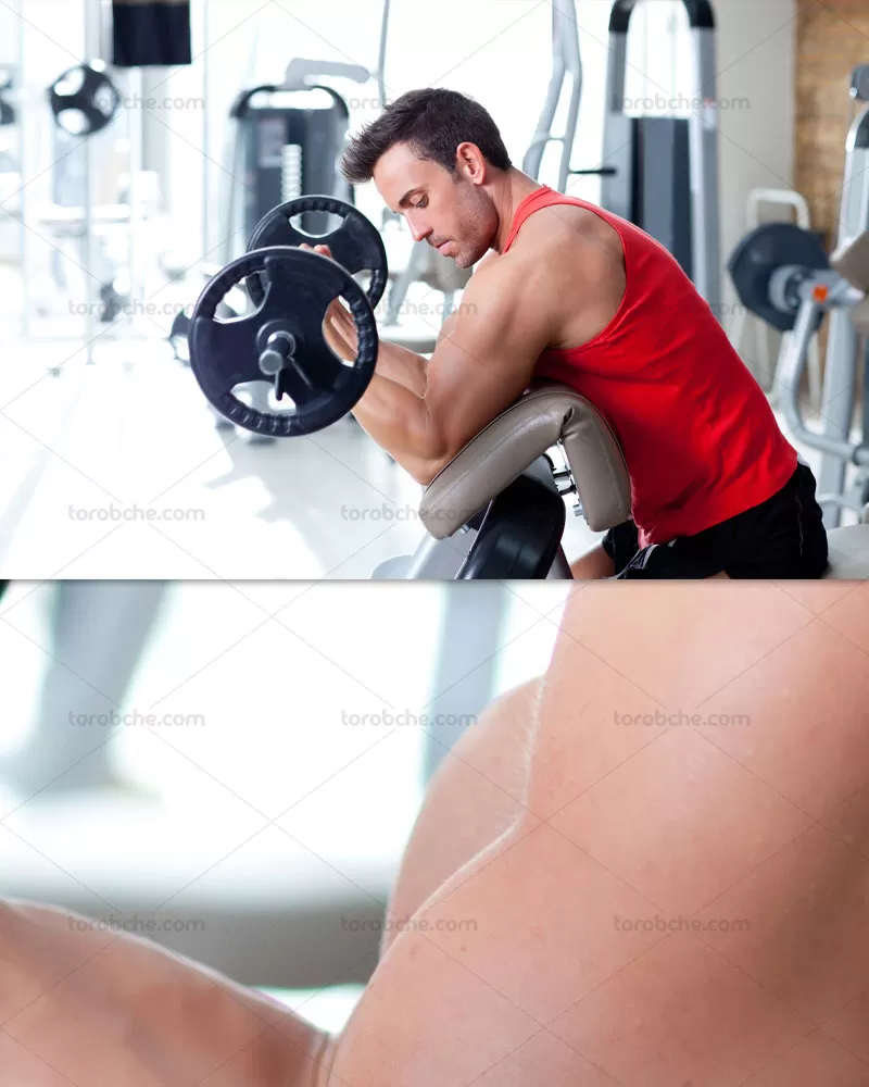 عکس پرورش اندام آقایان | گرافیک با طعم تربچه