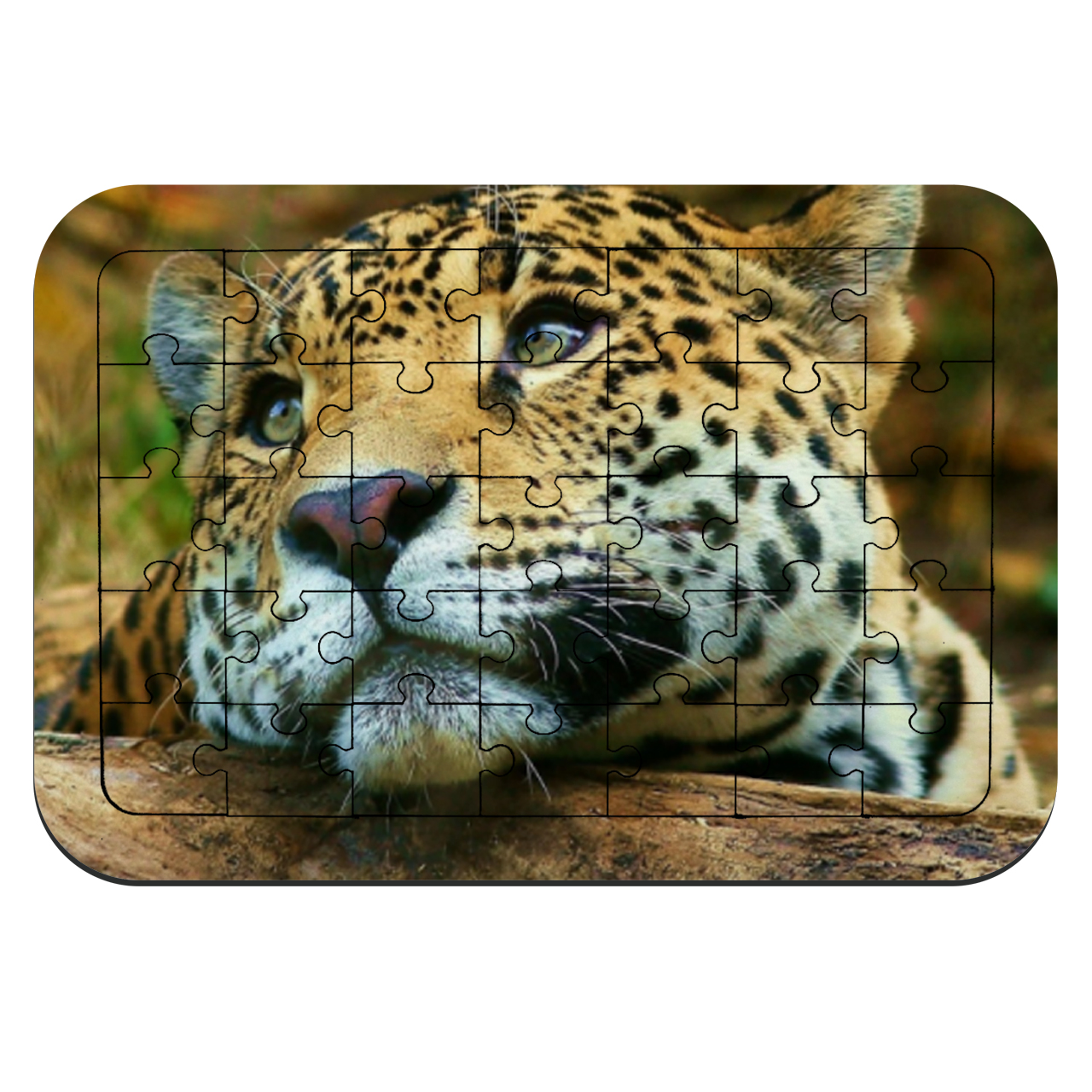 پازل 35 تکه طرح جگوار مدل NI1894