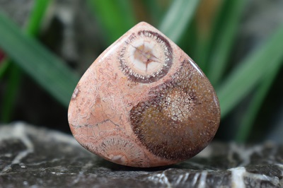 جاسپر گل افتابگردان(جاسپر چشم پرنده)