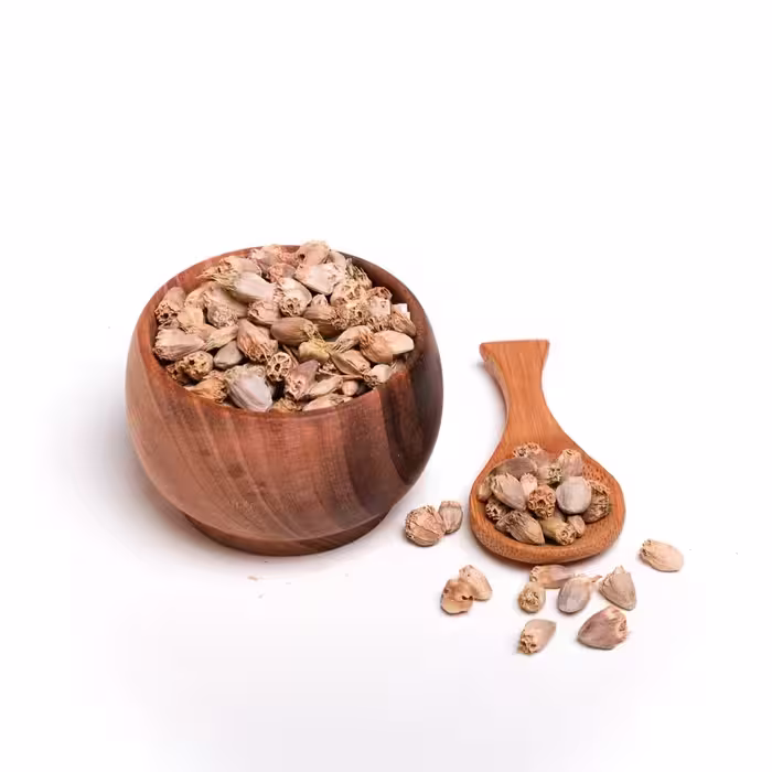 تخم آرتیشو(100گرم) آقای عطار 