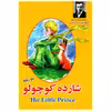 کتاب شازده کوچولو اثر آنتوان دوسنت اگزوپری انتشارات ملینا