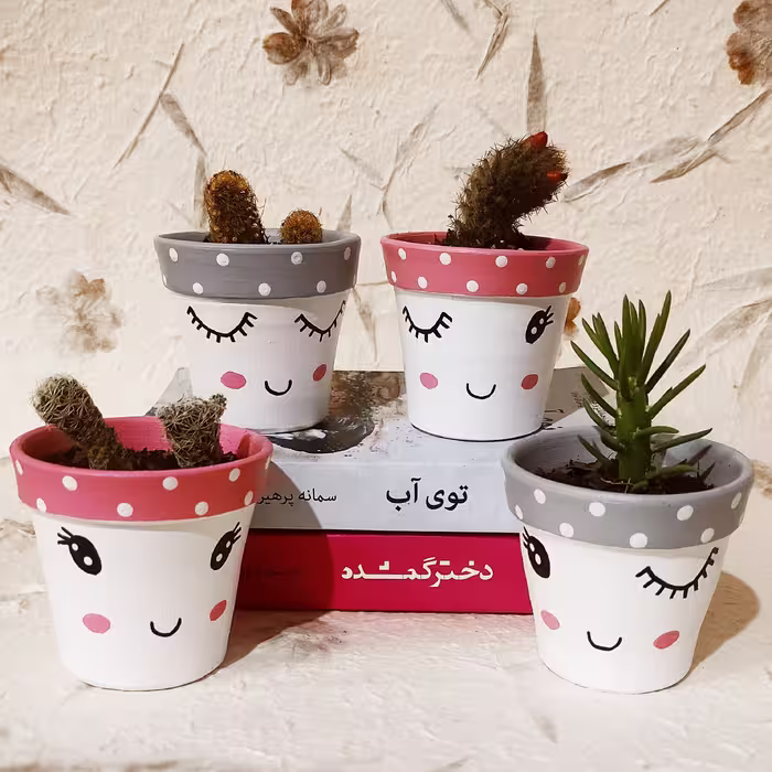 ست گلدان فانتزی 4عددی صورتی ،طوسی