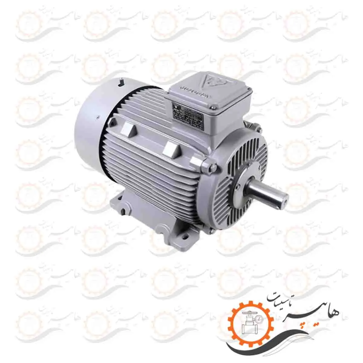 الکتروموتور سه فاز چدنی موتوژن