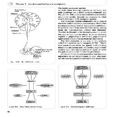 کتاب Essentials of Pharmacology for Nurses اثر Paul Barber انتشارات Open University