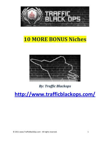 خرید و دانلود نسخه کامل کتاب 10 more bonus niches