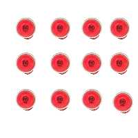 آژیر دزدگیر مدل رایموند بسته 12 عددی