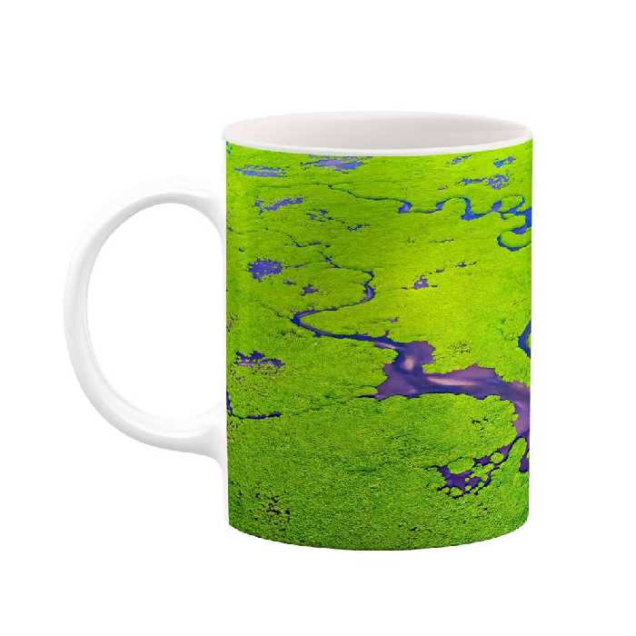 ماگ کاکتی طرح منظره مدل mgs16639