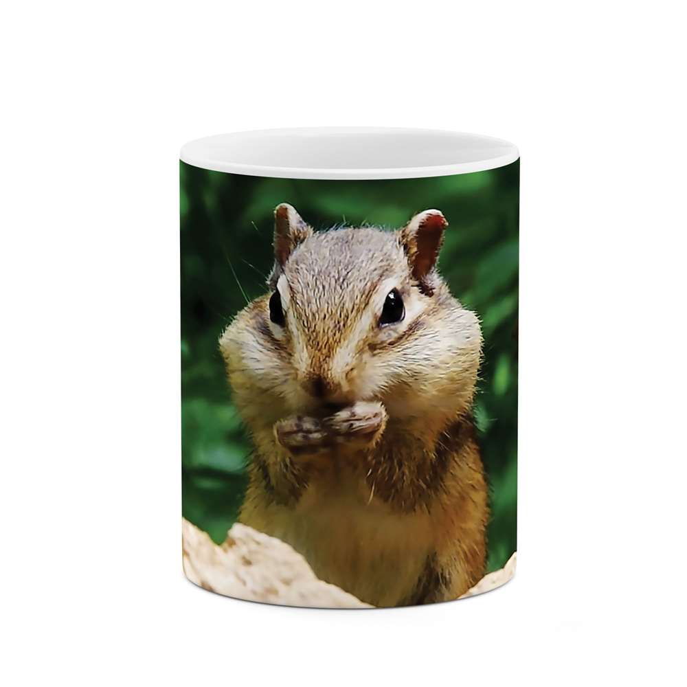 ماگ طرح سنجاب مدل mgs06281