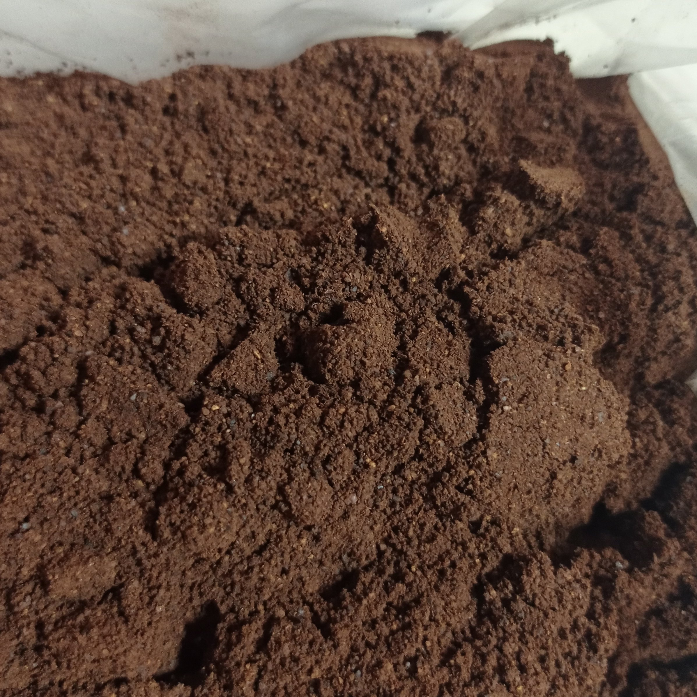 قهوه 70عربیکا،30روبوستا