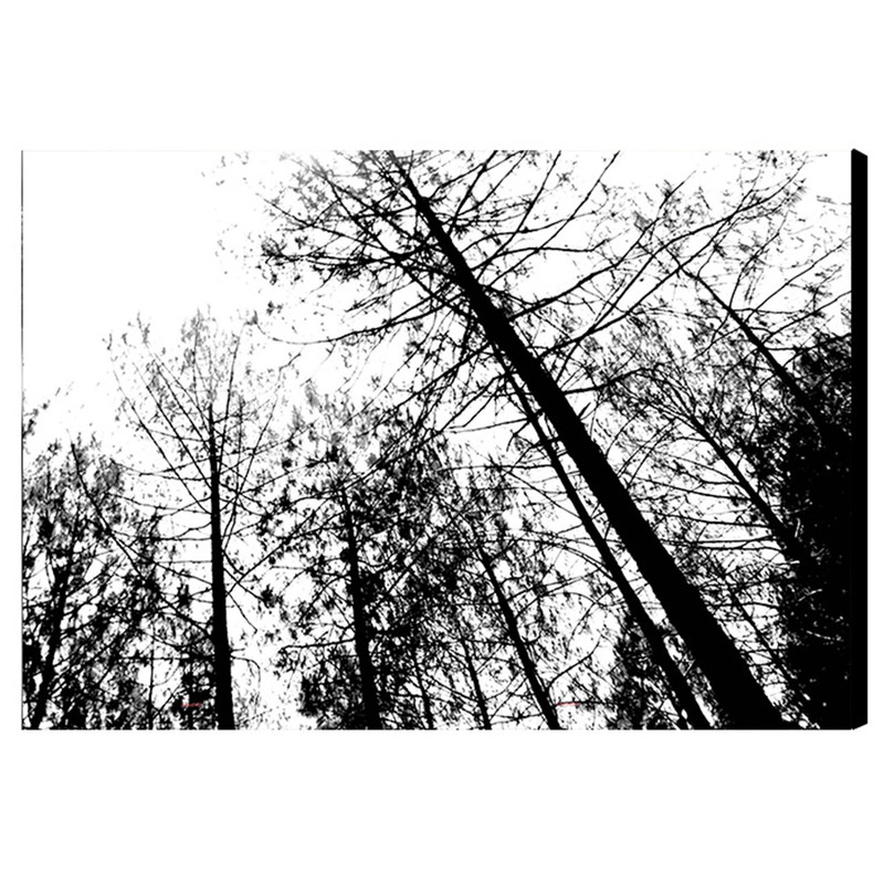 تابلو شاسی بارمان مدل Bar177 | دنیای قاب