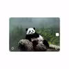 برچسب پوششی ماهوت مدل Panda مناسب برای تبلت سامسونگ Galaxy Tab A 9.7 2015 T555