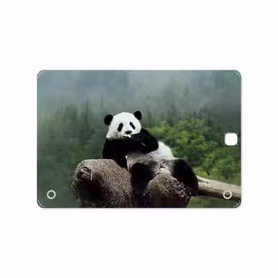 برچسب پوششی ماهوت مدل Panda مناسب برای تبلت سامسونگ Galaxy Tab A 9.7 2015 T555