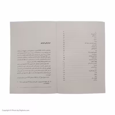 کتاب آدم ها روی پل اثر ویسواوا شیمبورسکا نشر مرکز