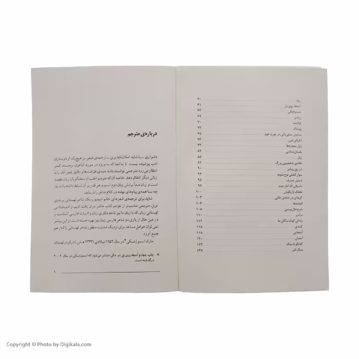 کتاب آدم ها روی پل اثر ویسواوا شیمبورسکا نشر مرکز