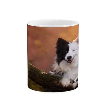 ماگ کاکتی طرح سگ مدل mgs14328