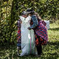 مغز خام فندق امسالی شهریور  1401 دیلمان گیلان 1 کیلویی