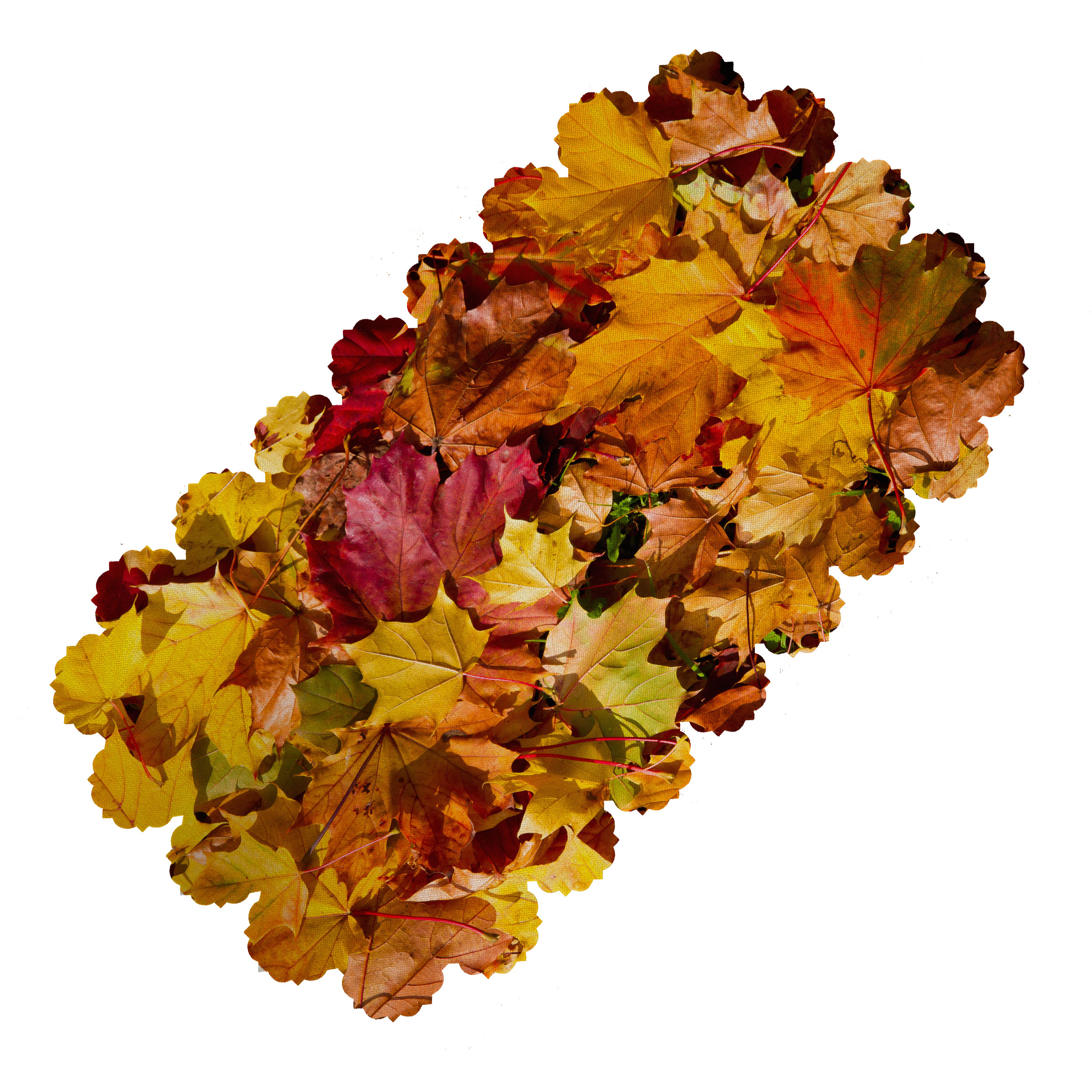 رومیزی طرح برگ پاییزی کد 5503R