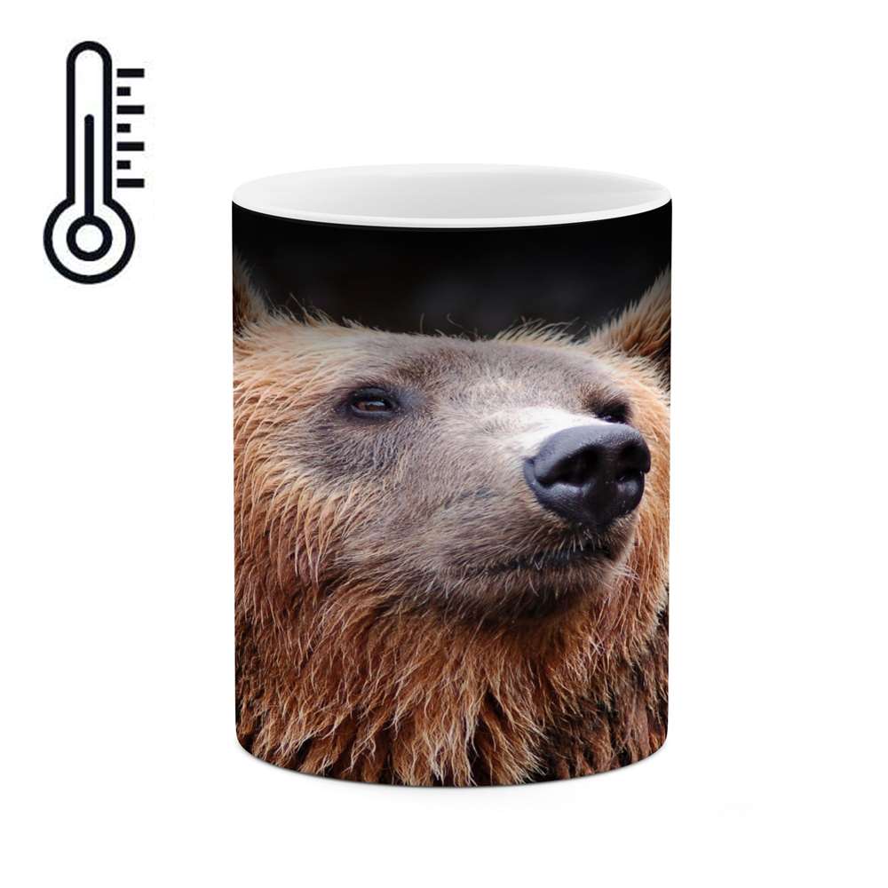 ماگ حرارتی کاکتی طرح خرس مدل mgh14164