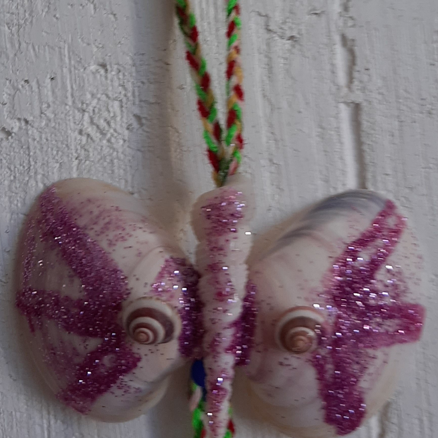 پروانه صدفی1