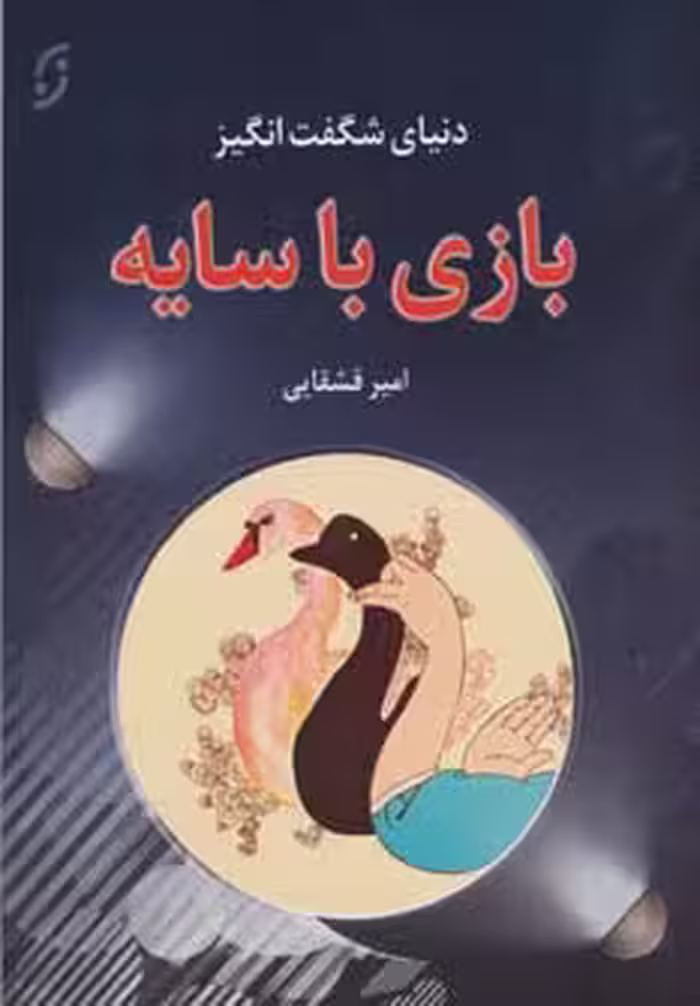 دنیای شگفت انگیز بازی با سایه - ناشربوک | خرید آنلاین کتاب